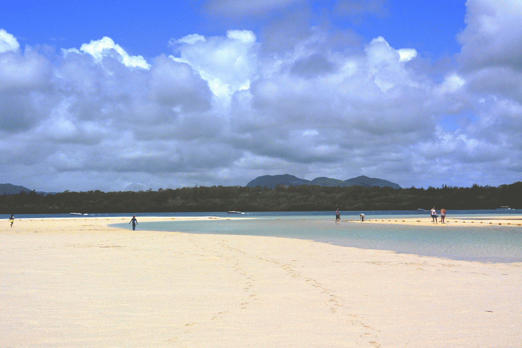 Ile aux cerfs