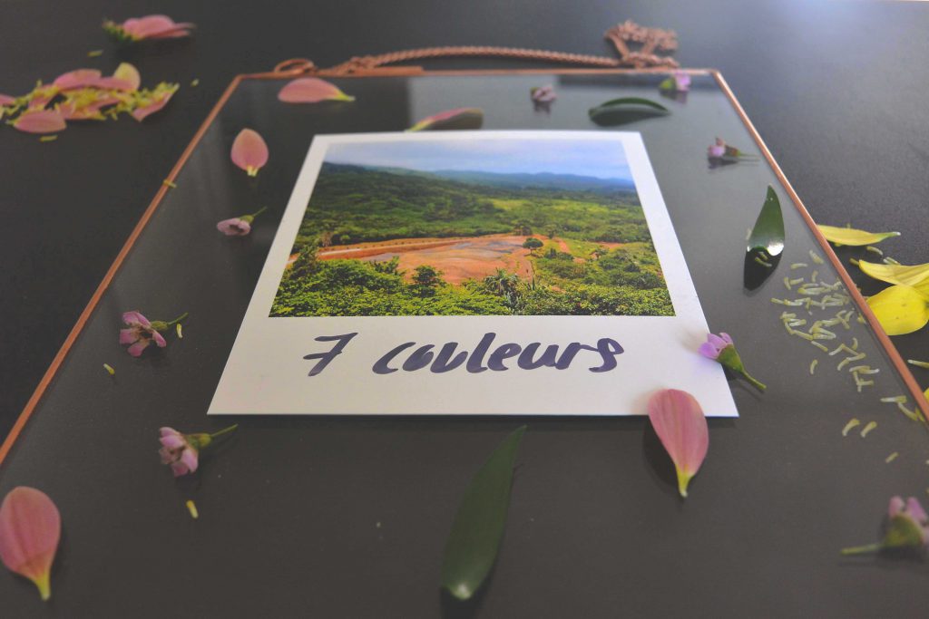 Cadre photo fleuris