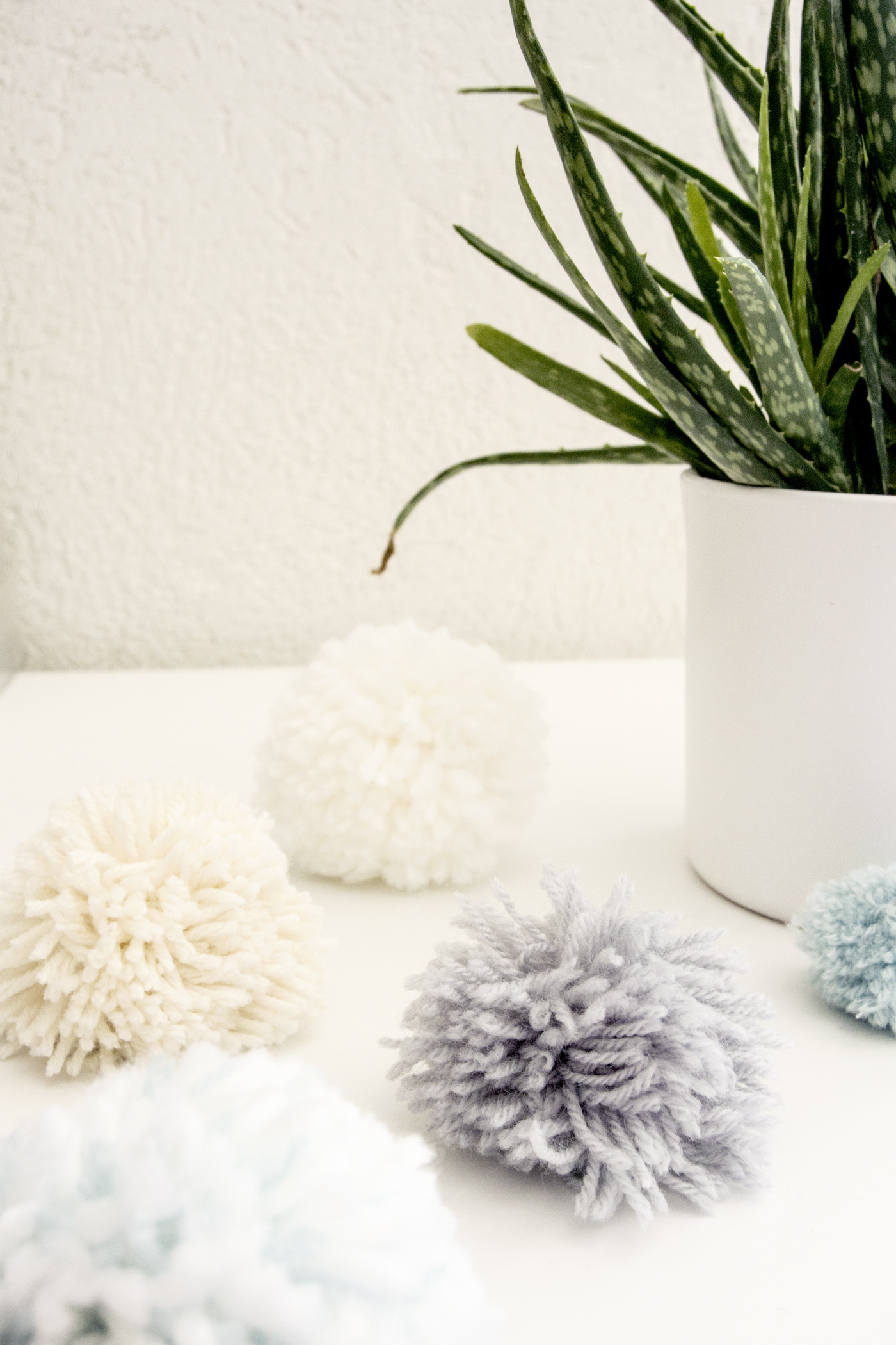 Pompoms