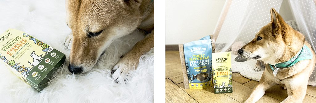 Friandies / treats – Lily's Kitchen