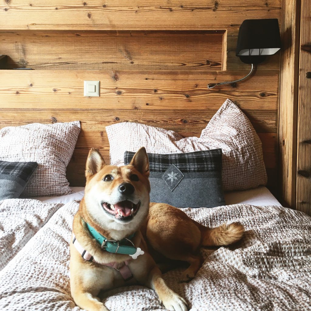 Shiba Hotel Grand Chalet Leysin
