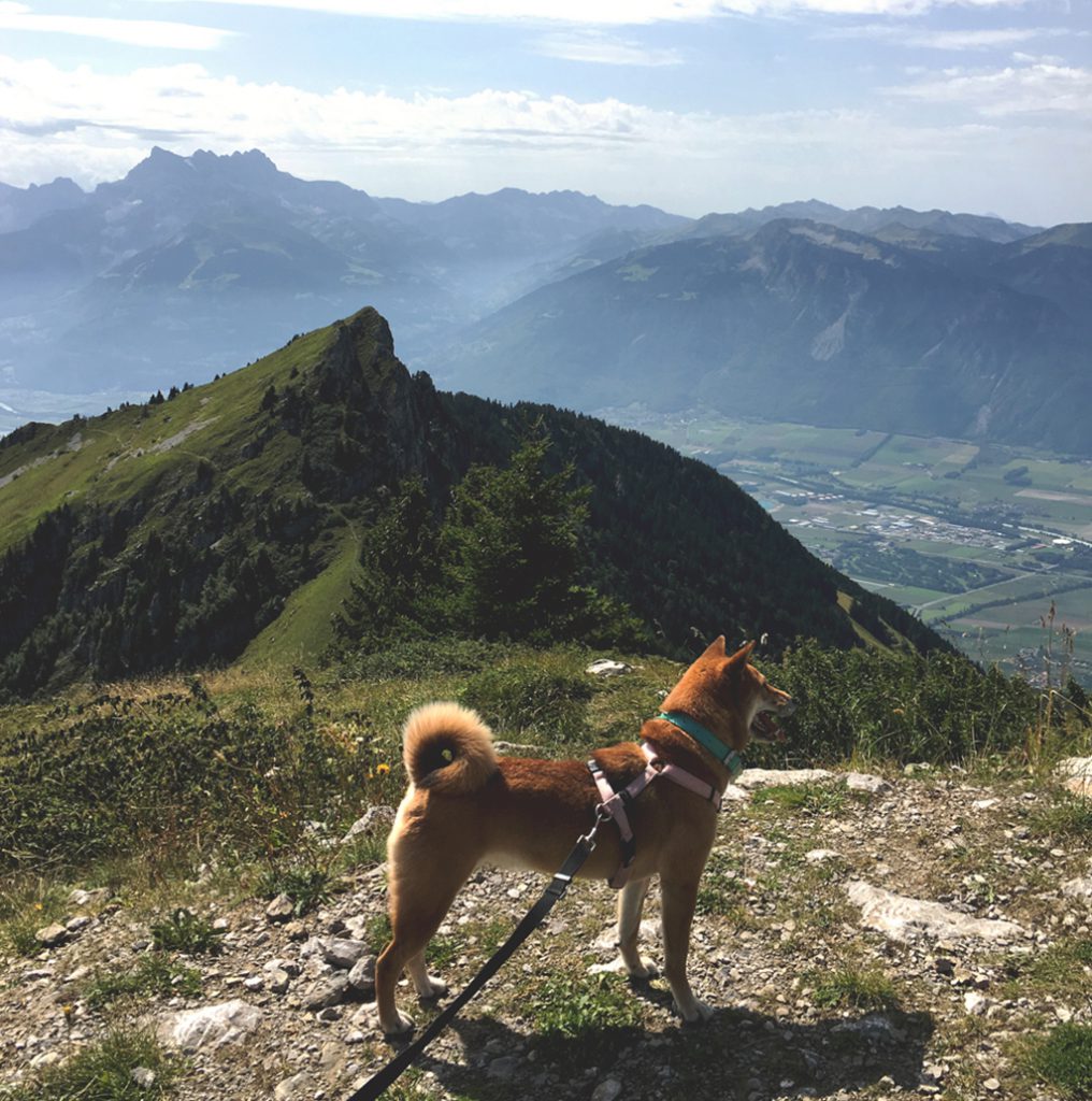 La Berneuse
