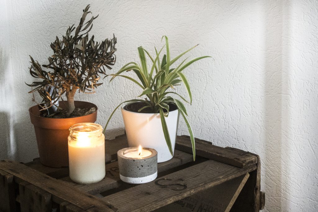 DIY bougie à la cire de soja et son pot en béton