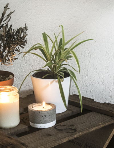 DIY bougie à la cire de soja et son pot en béton