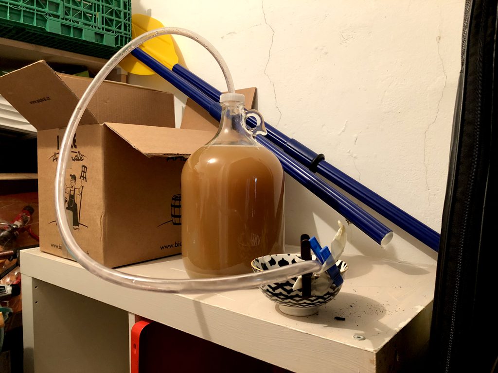 Fermentation