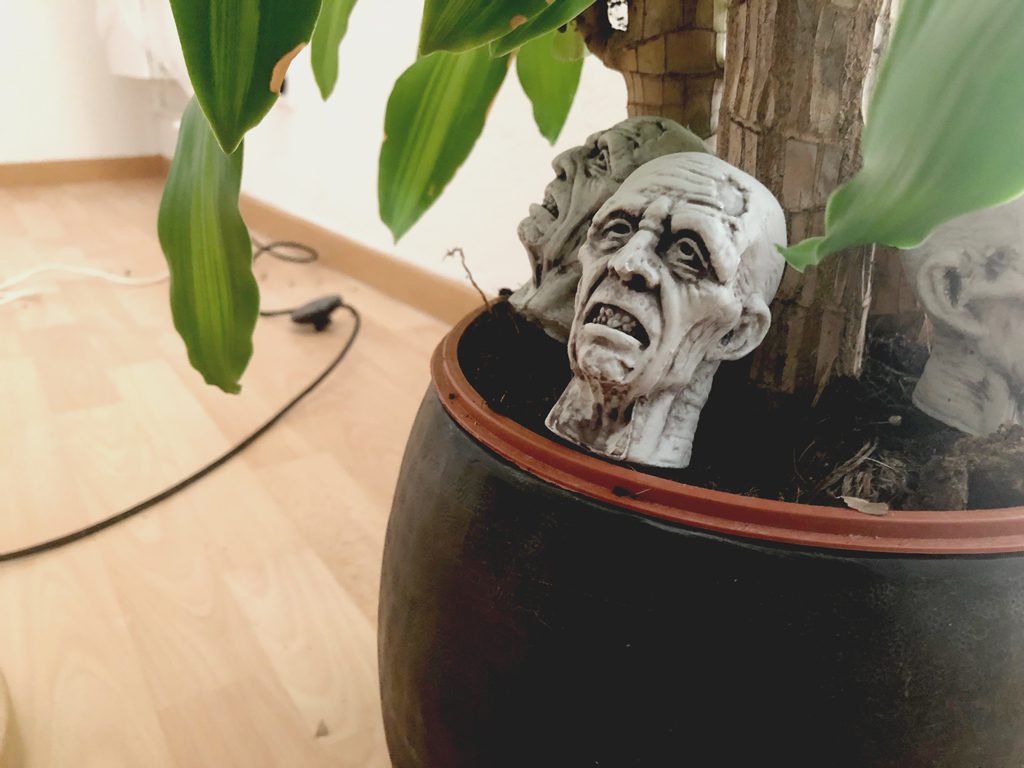 Tête dans pot de plante