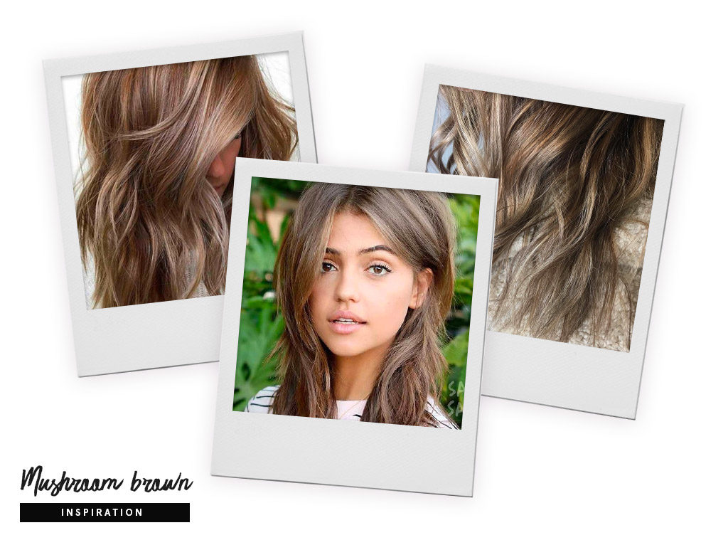 Inspiration coiffeur