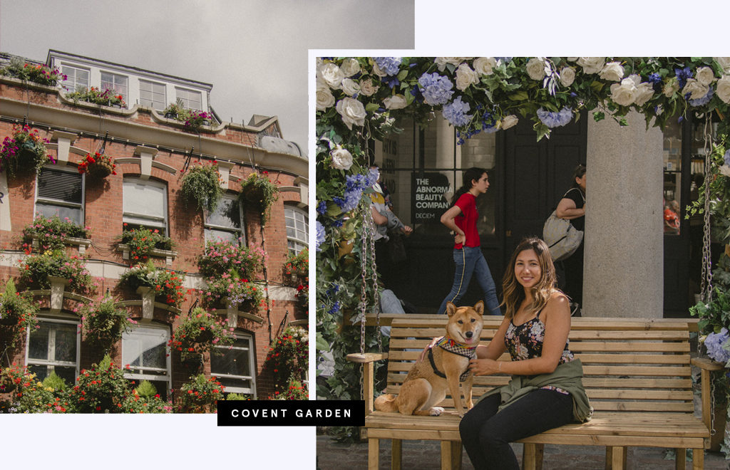 Londres avec un chien