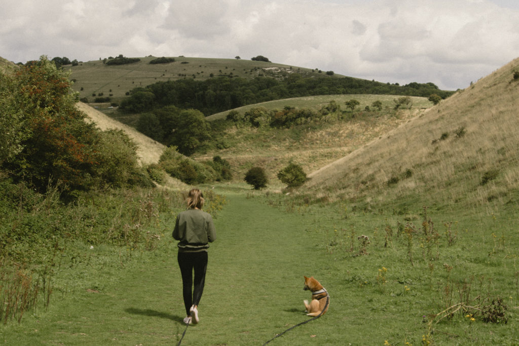 Devil's Dyke