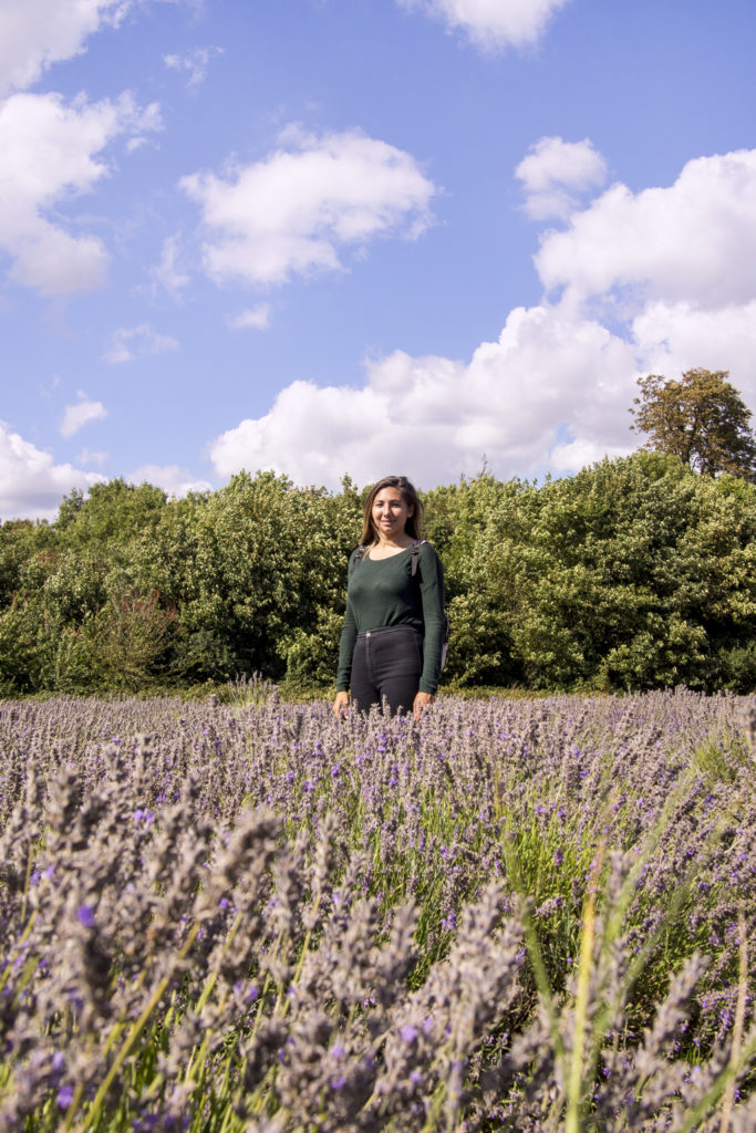 Mayfield Lavender Farm