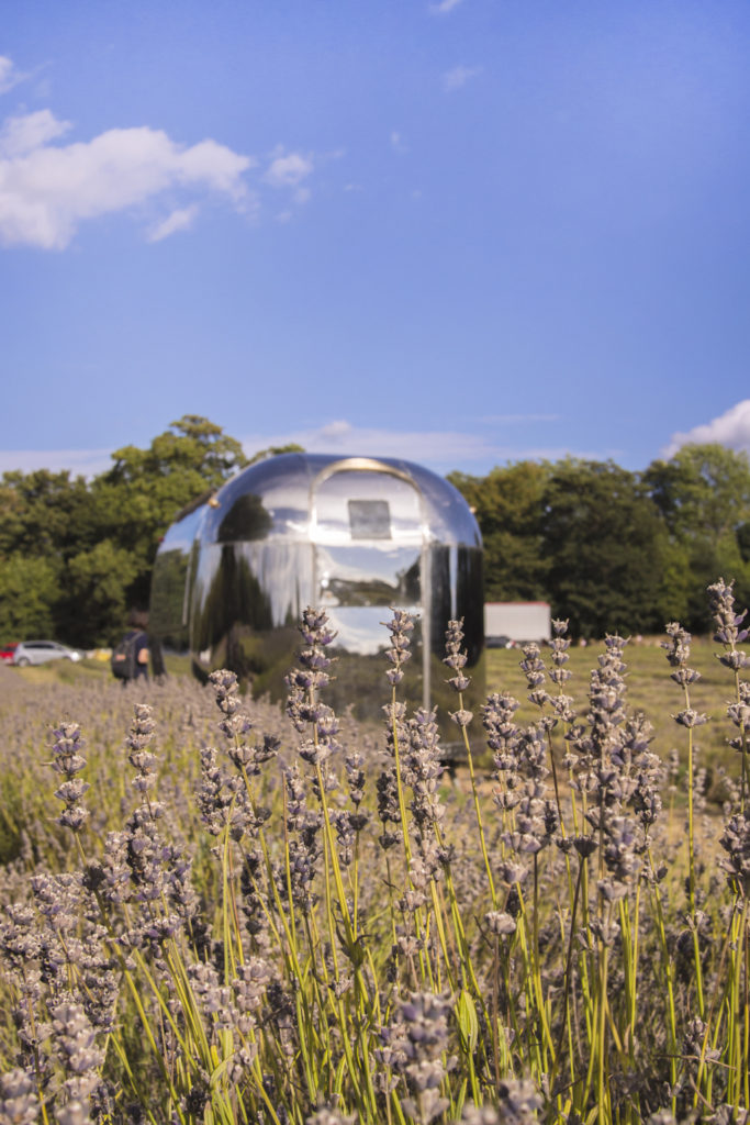 Caravane Lavender Farm Mayfield