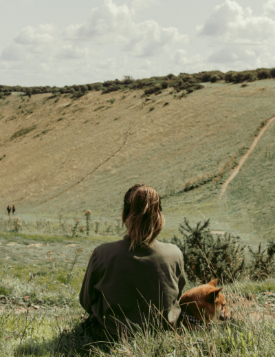 Visiter Angleterre avec un chien