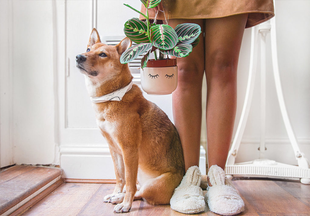 Marenta + pot Sass & Belle