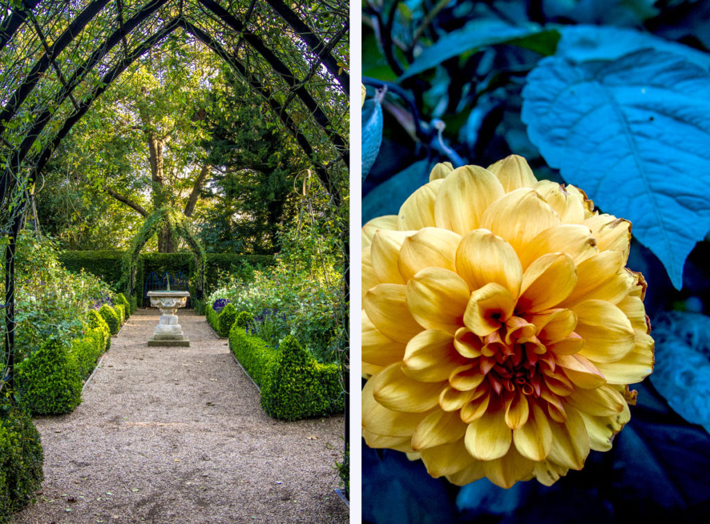 Jardin des roses
