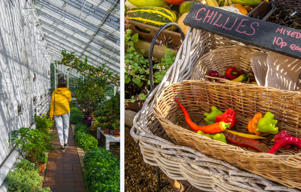 Kitchen Garden – Jardin d'Arundel