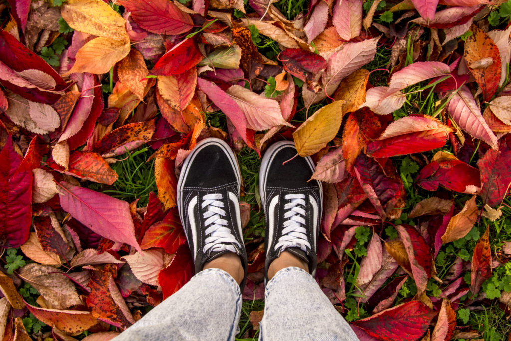 Vans Old Skool