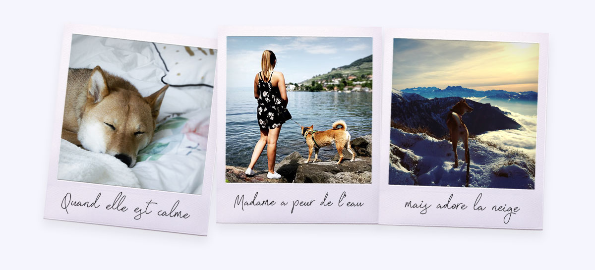 Photos souvenirs de Kitsune