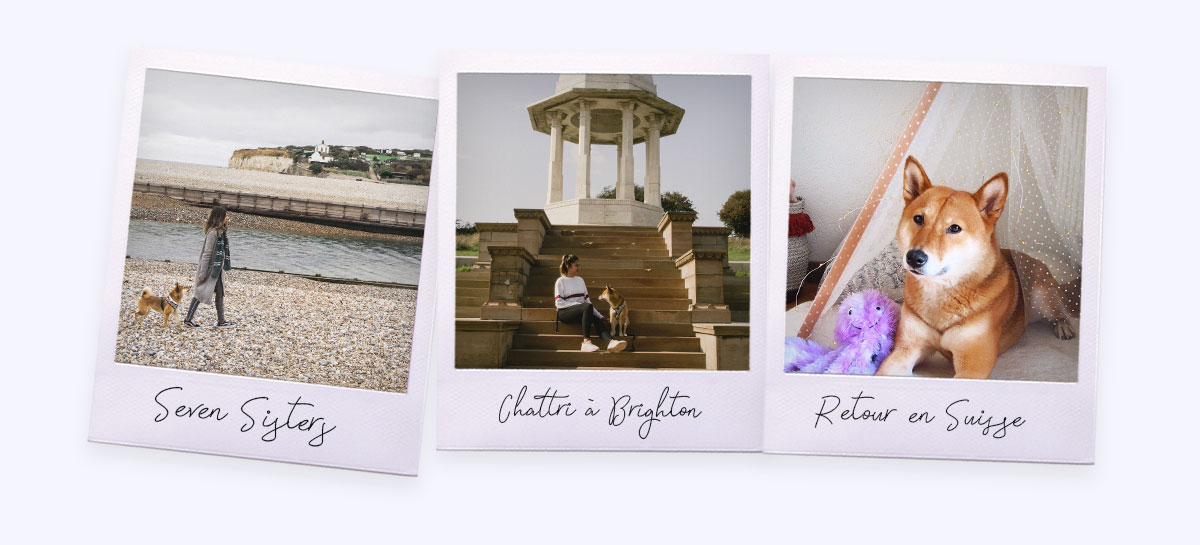 Kitsune en angleterre
