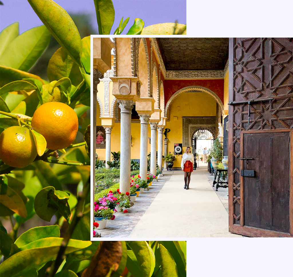 Jardin du Palais de Las Duenas