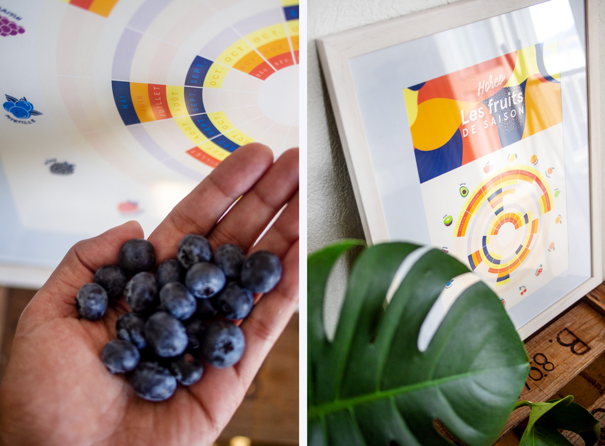 Calendrier des fruits de saison