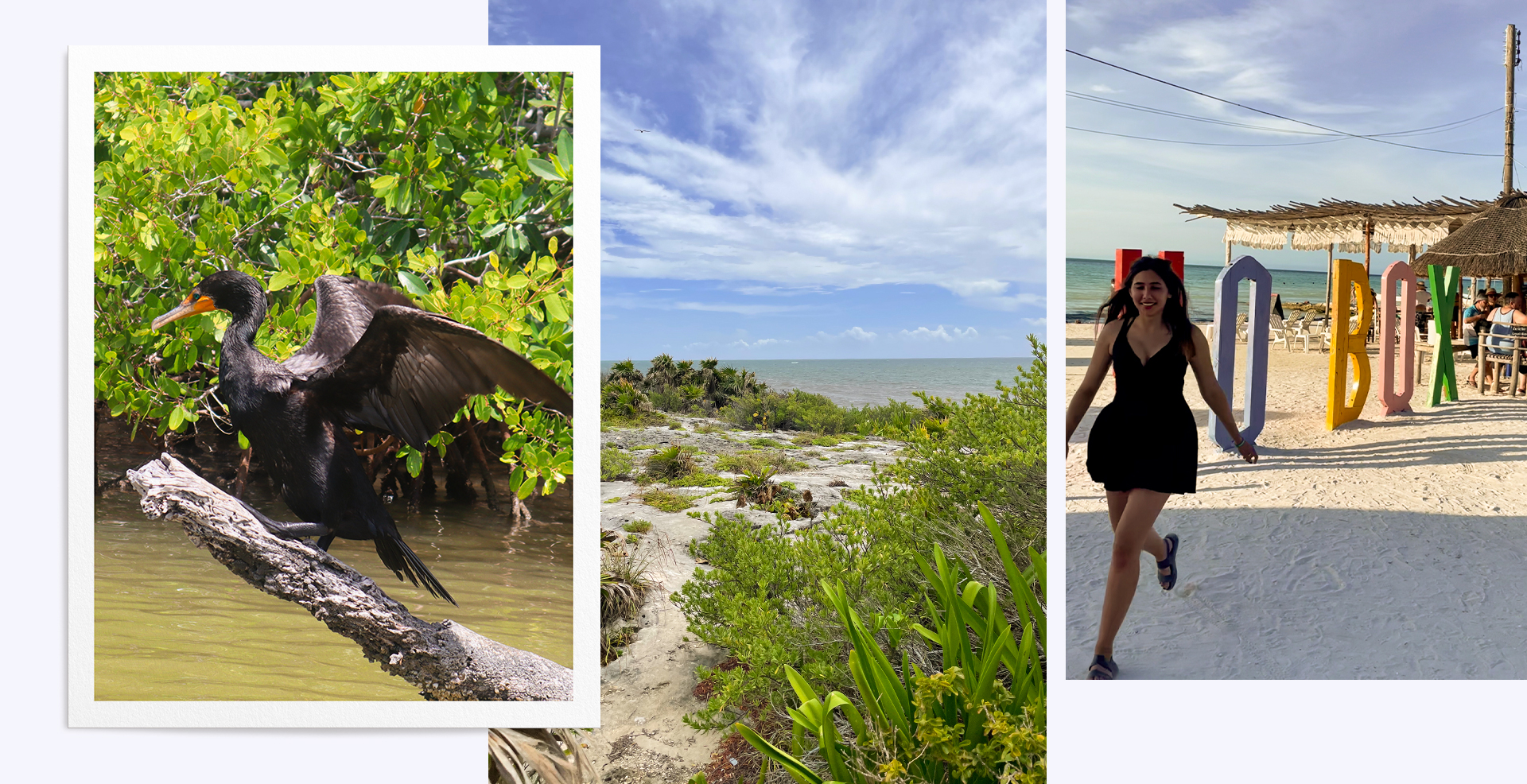 Résumé de notre séjour au Yucatan