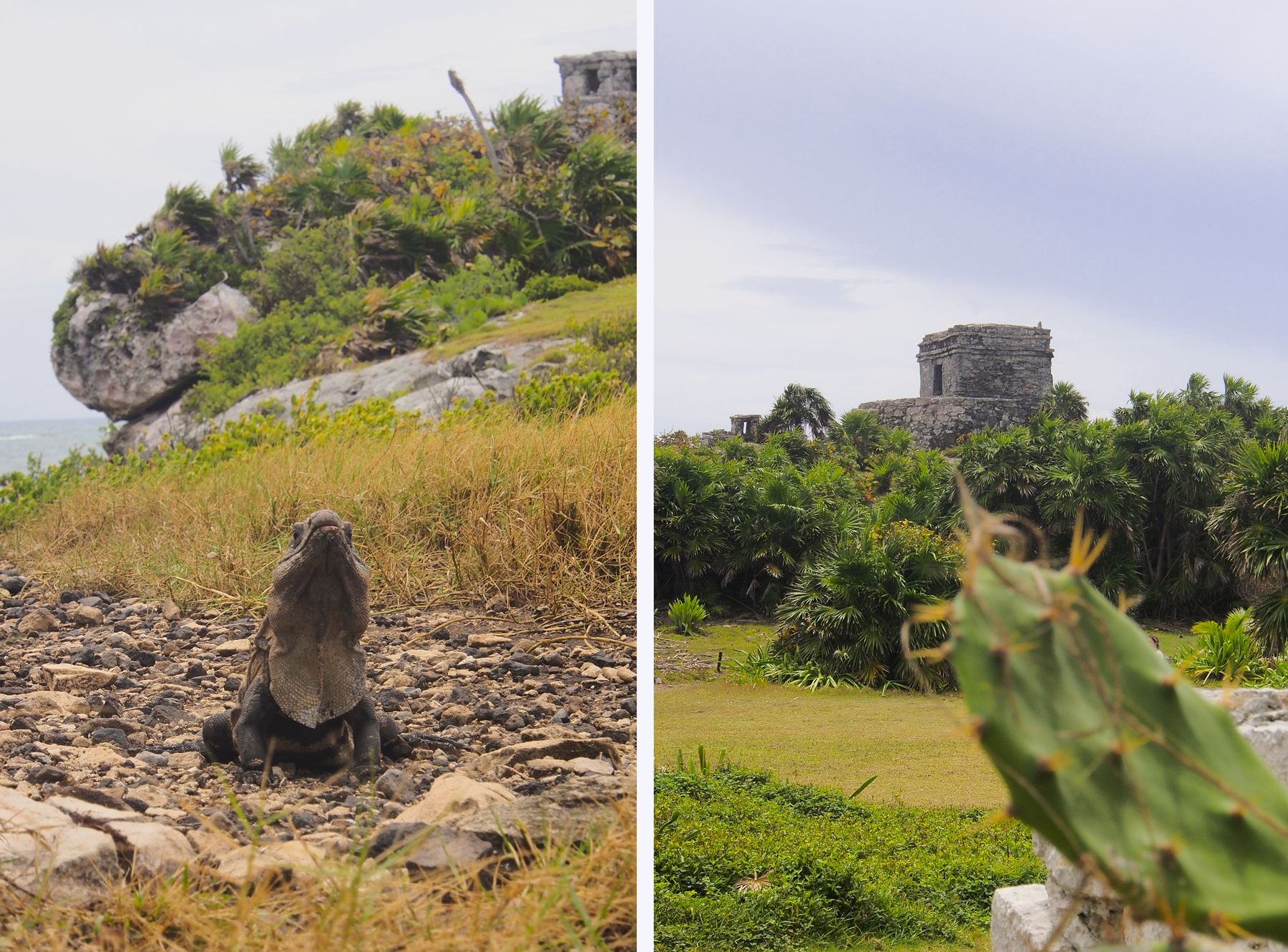 Ruines de Tulum