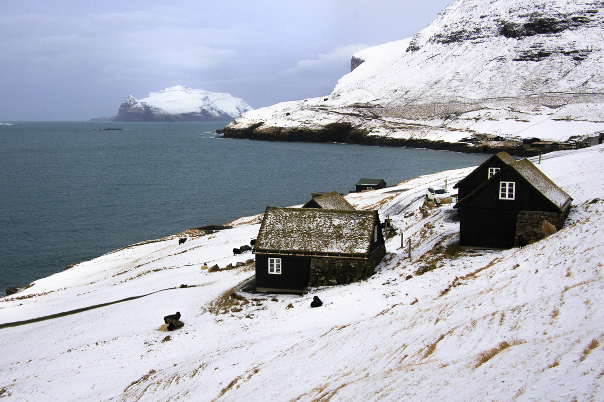 Bour îles féroé