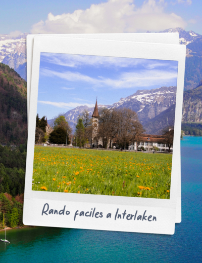 Randonnées faciles & dog friendly à Interlaken