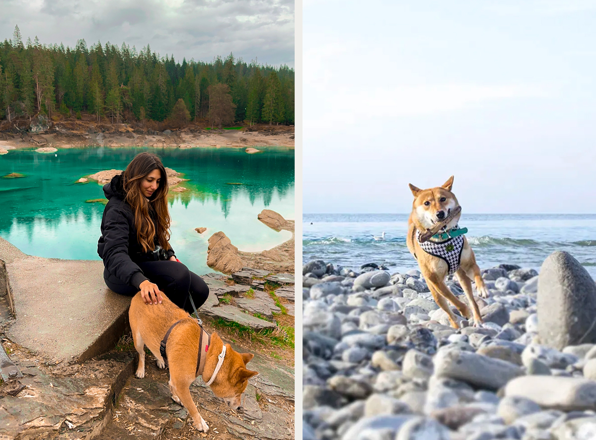 Les lacs sont en général accessible aux chiens en Suisse