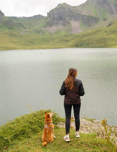 Visiter la Suisse avec un chien