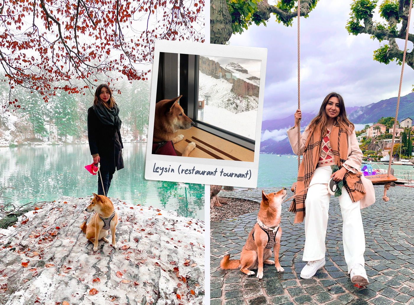 Blausee & Locarno avec un chien