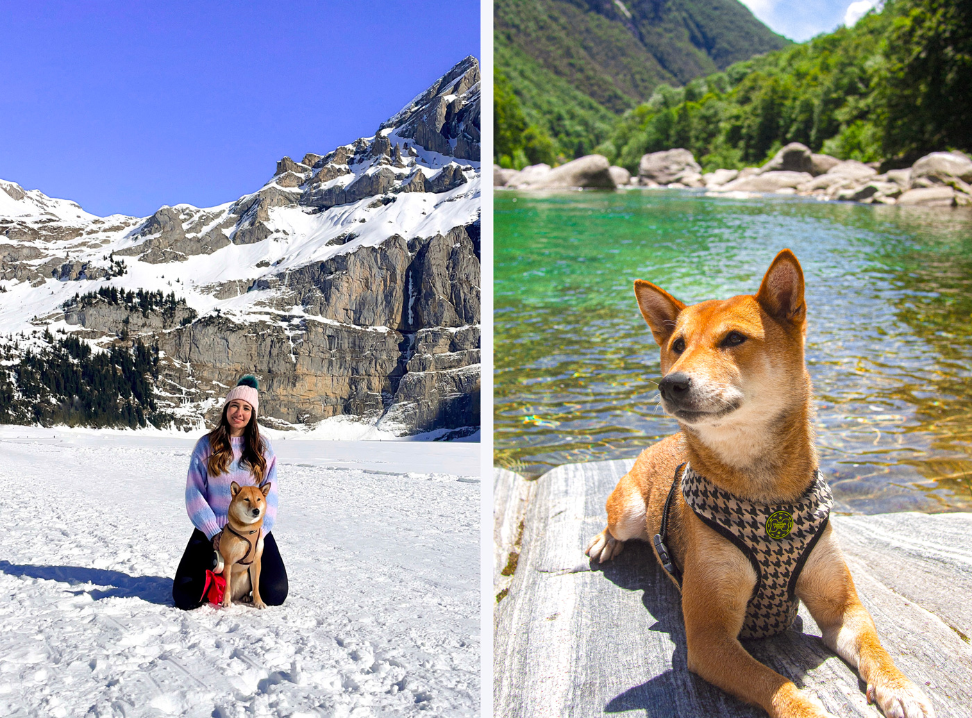 Oeschinensee & Val Verzasca avec un chien