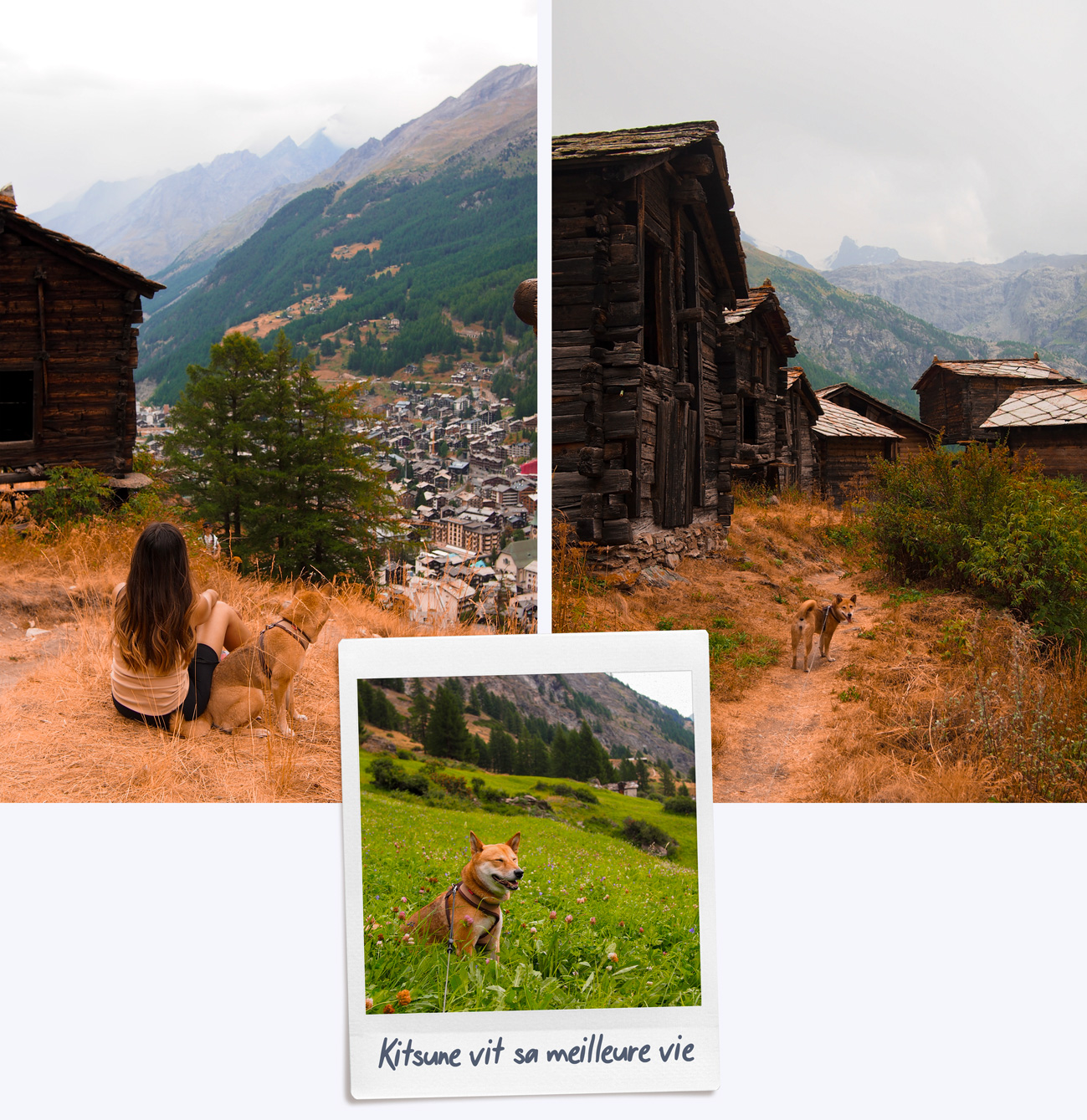 Randonnée à Zermatt sur l'Edelweissweg