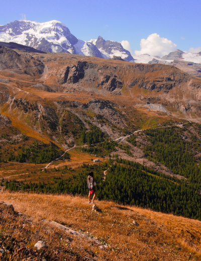5 idées de randonnées à Zermatt (avec un chien)