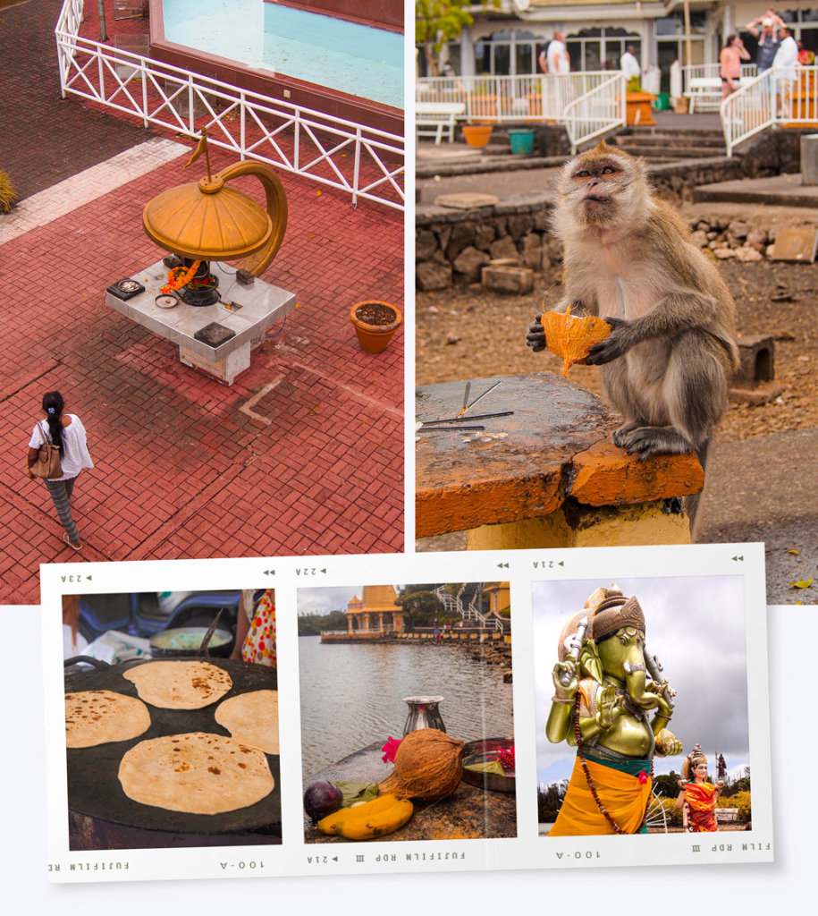 Les singes de Grand Bassin