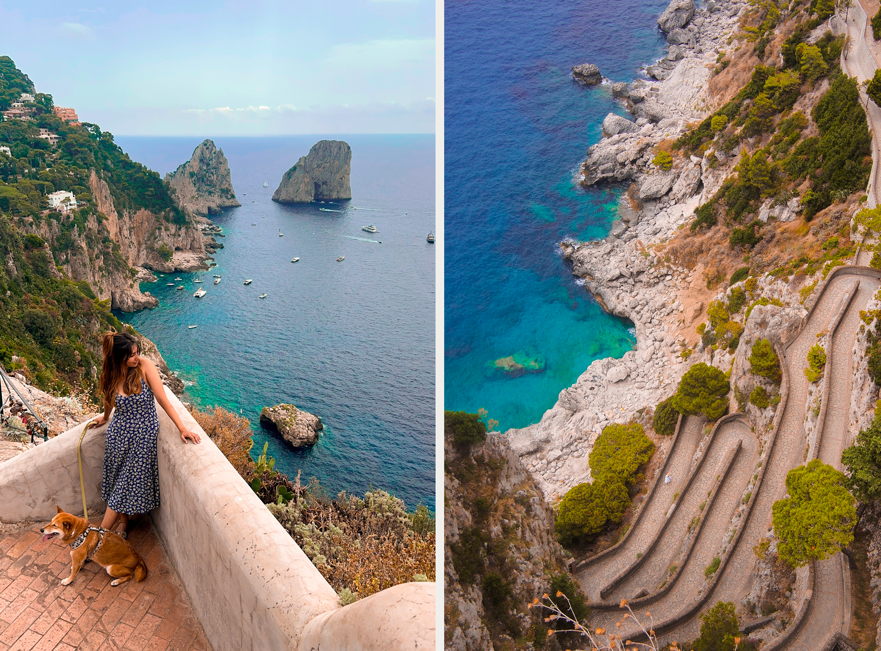 Les jardins d'Auguste | Augustus garden à Capri