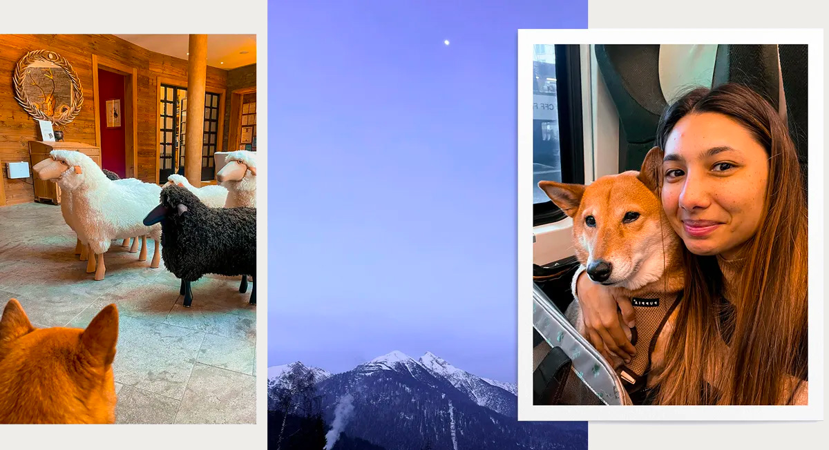 5 jours dans le Tyrol avec un chien