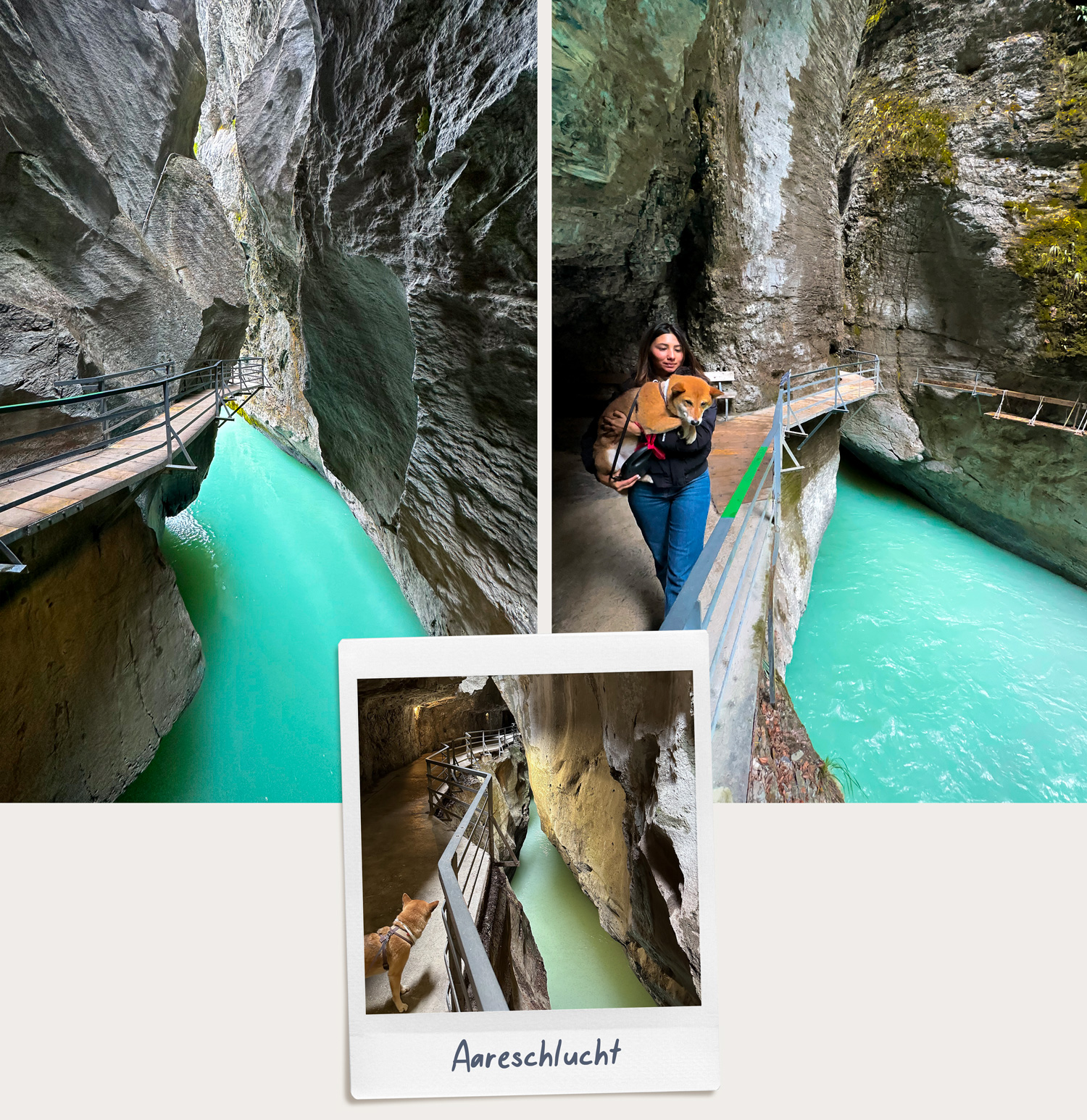 Aareschlucht / gorges de l'Aar