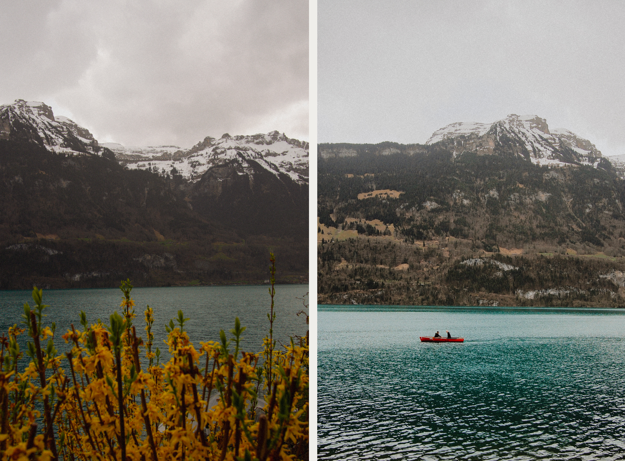 Lac de Brienz côté Oberried