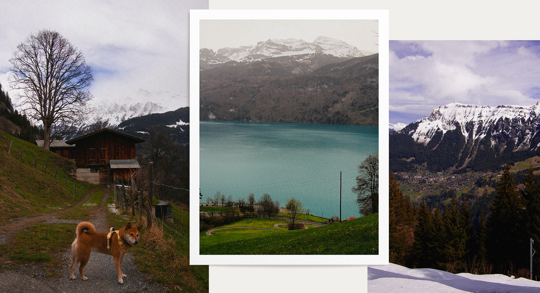 randonnées panoramiques faciles à Interlaken