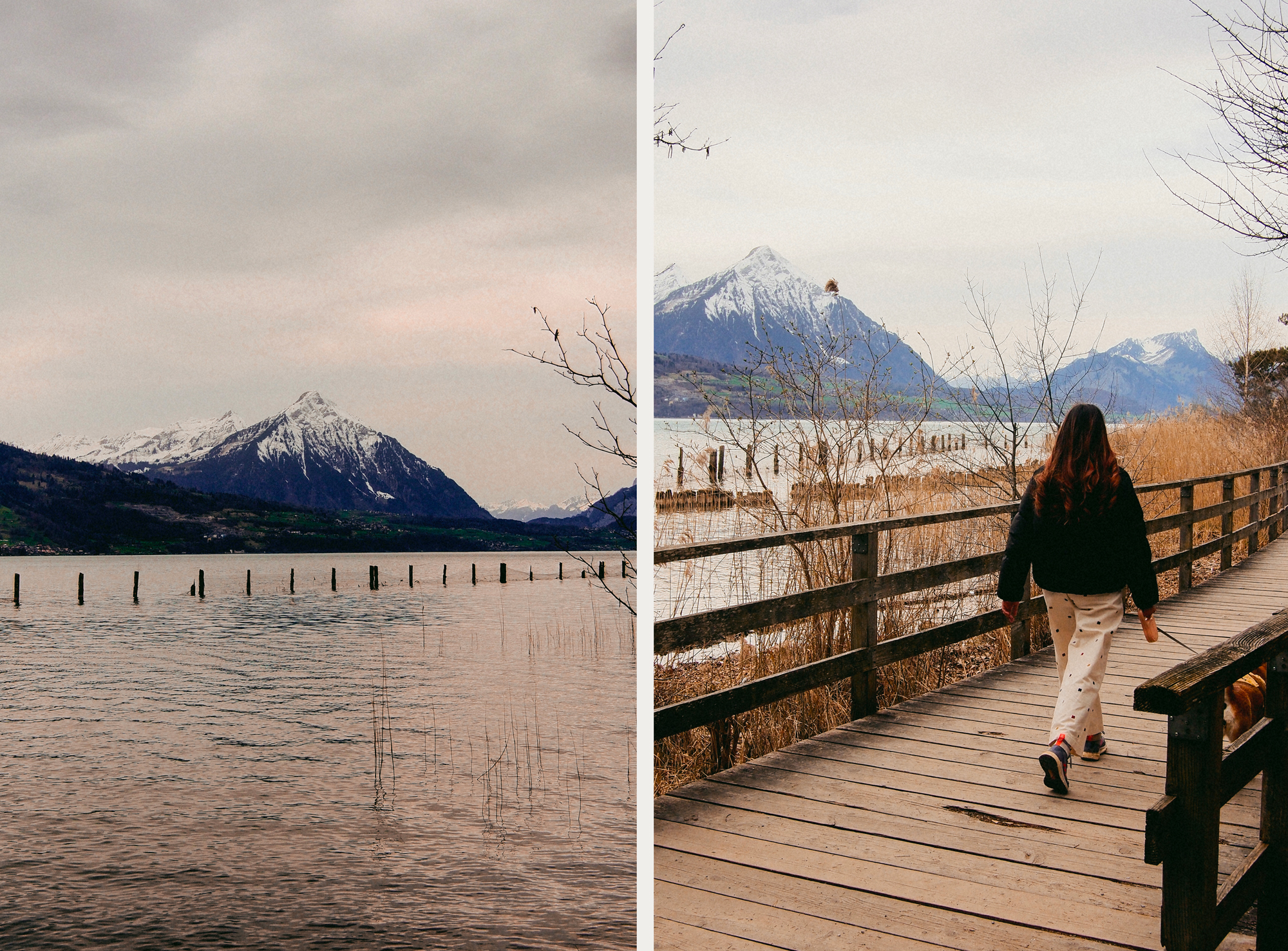 Réserve naturelle de Weissenau (gratuit et facilement accessible depuis le centre d'Interlaken)