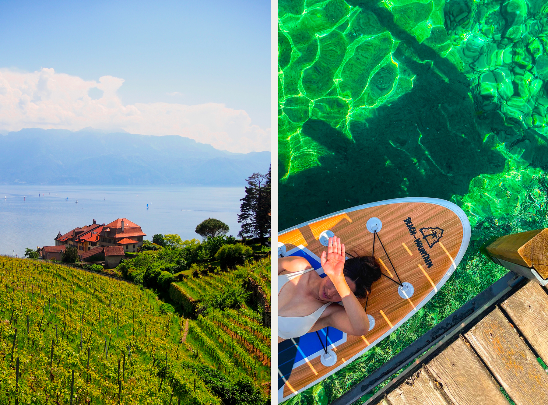 Les vignobles du Lavaux aux abords du Lac Léman