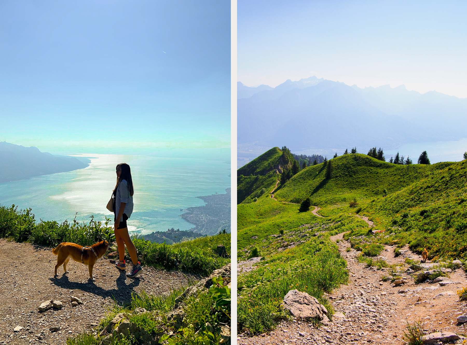 Sur la descente jusqu'à Montreux