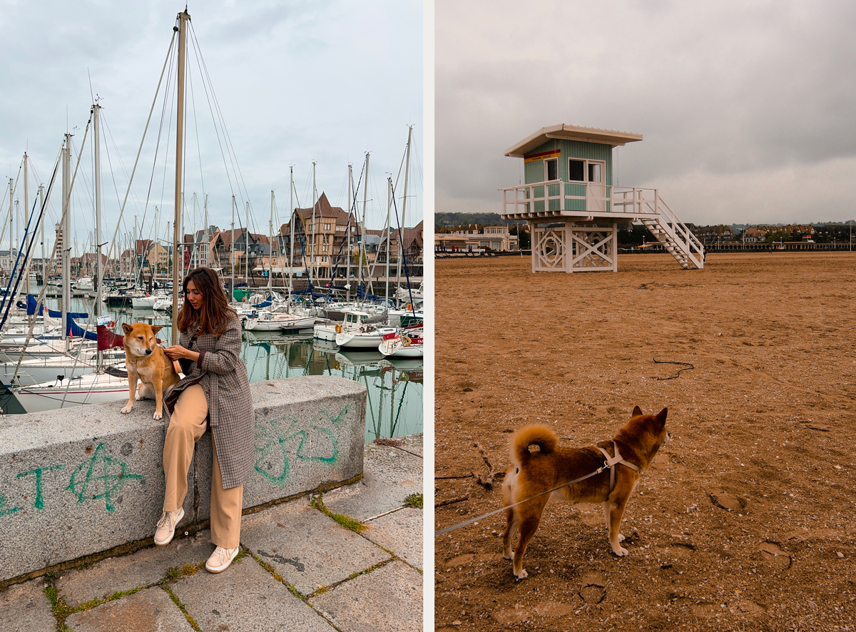 Visiter Deauville & la Normandie avec un chien