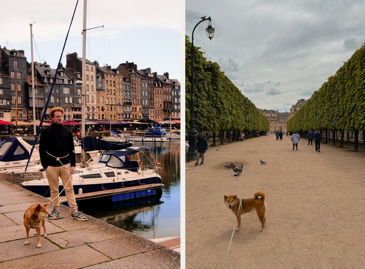 Honfleur & Paris avec un chien