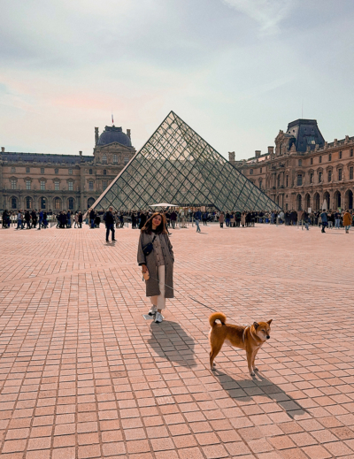 Visiter la France avec un chien