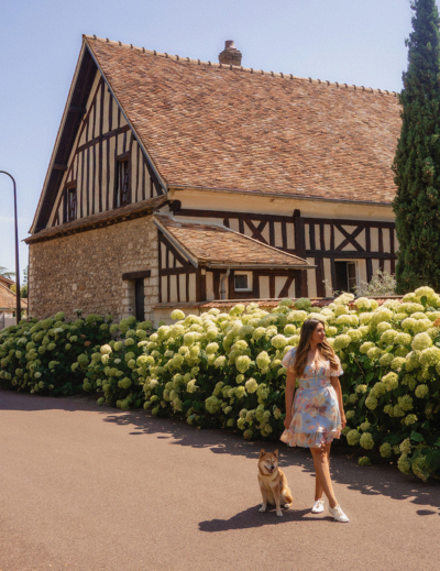 Visiter la France avec un chien