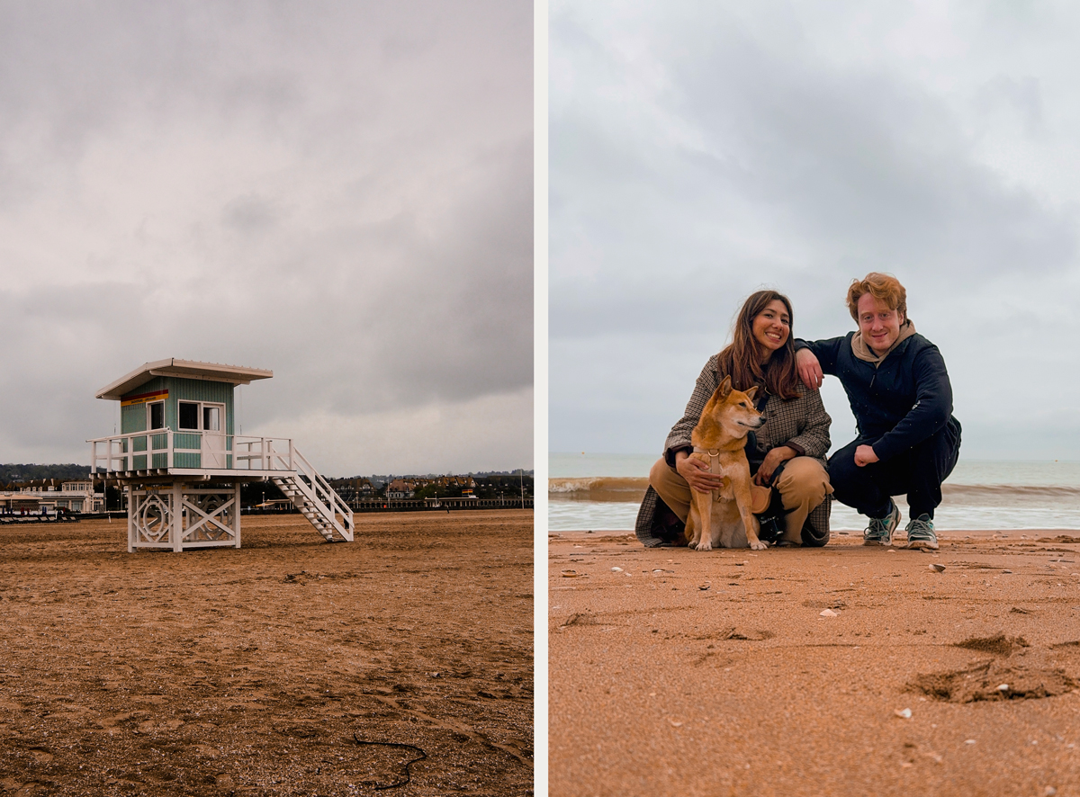 Plage de Deauville ( chien)
