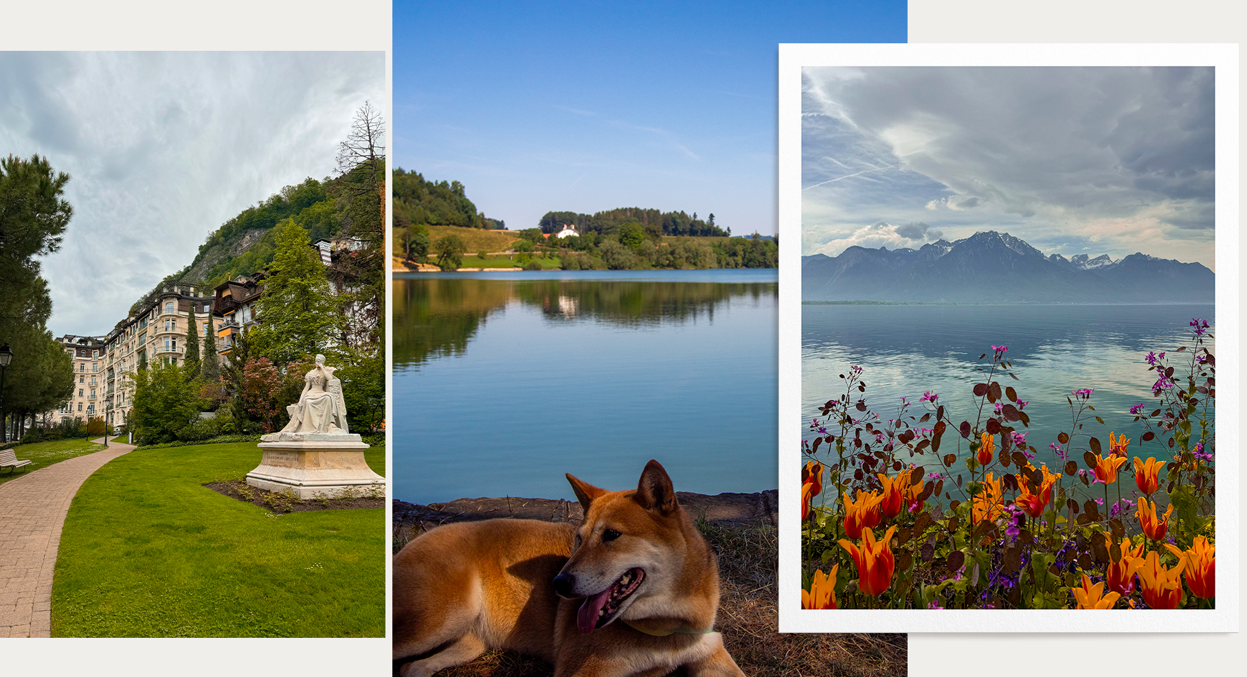 randonnées panoramiques dans la région Vevey / Montreux