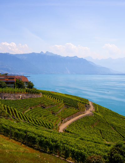 5 RANDONNÉES PANORAMIQUES DANS LA RÉGION VEVEY / MONTREUX